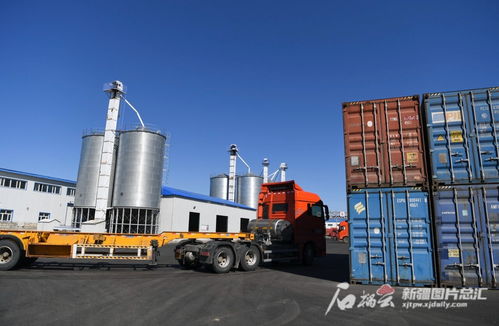 新疆糧油深加工企業依托口岸優勢，以技術開發驅動產業升級